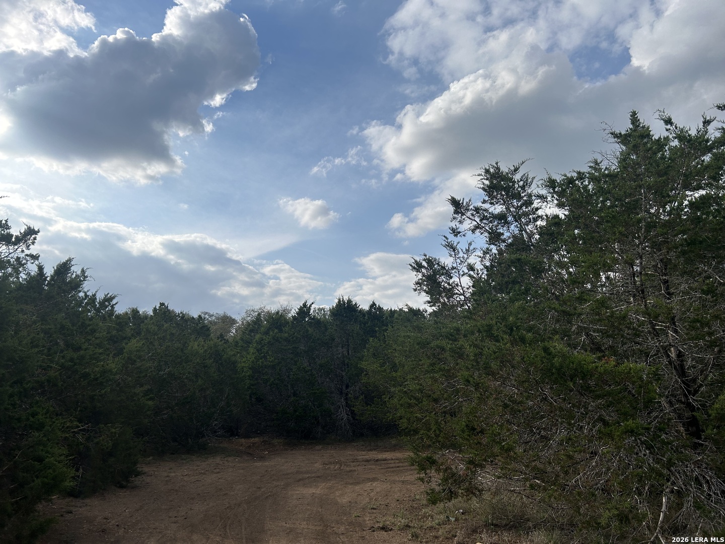 1015 Grassland photo 1