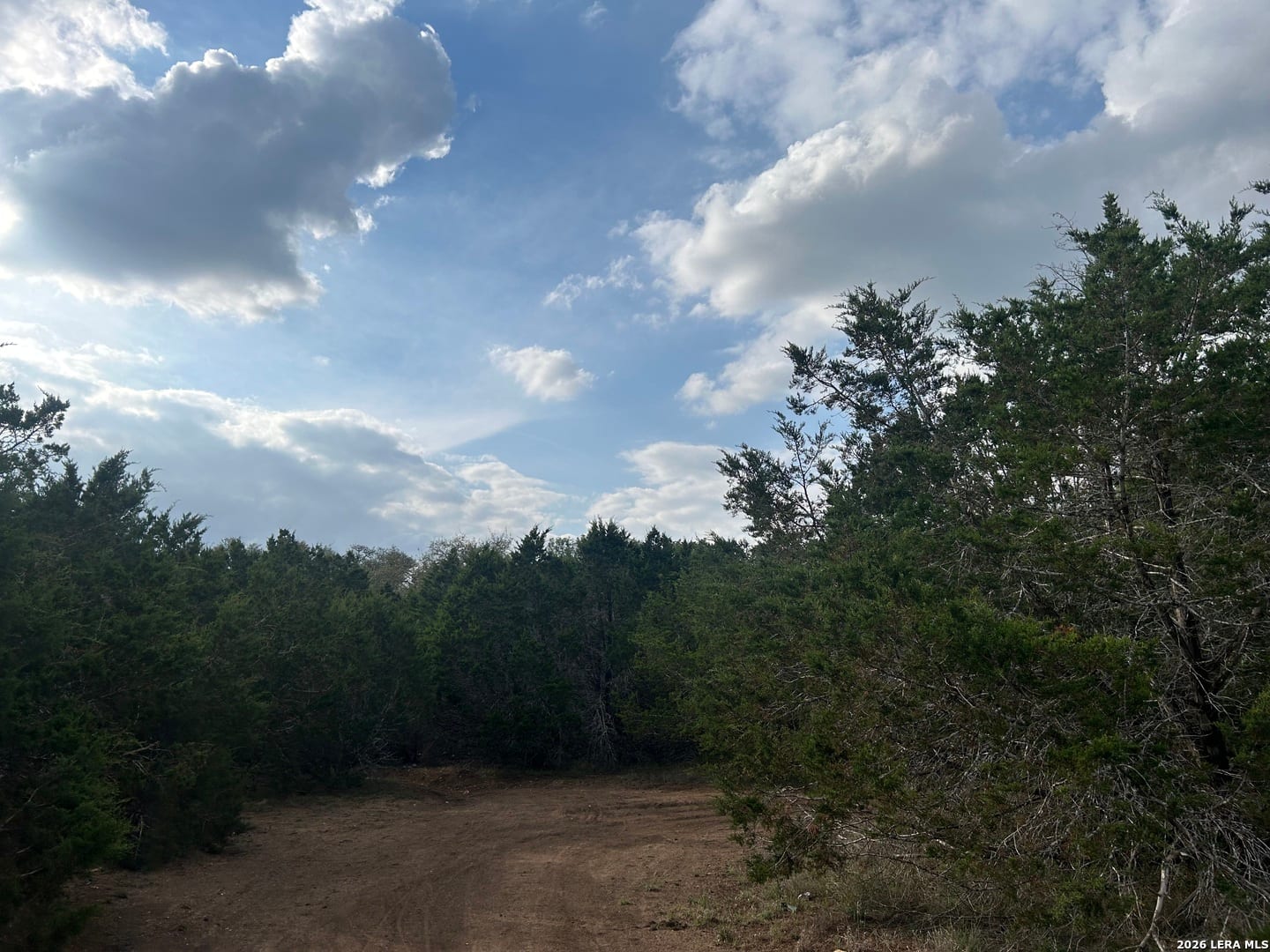 1015 Grassland